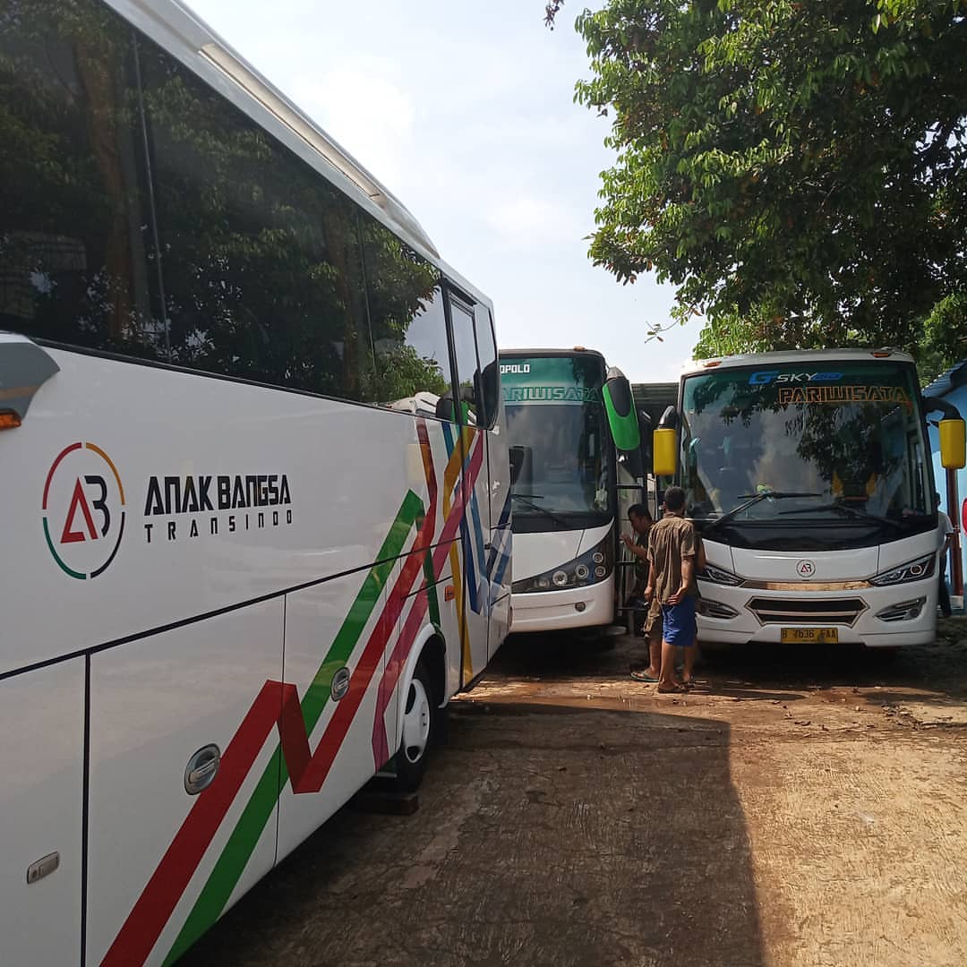 Bus Pariwisata di Anak Bangsa Trasindo